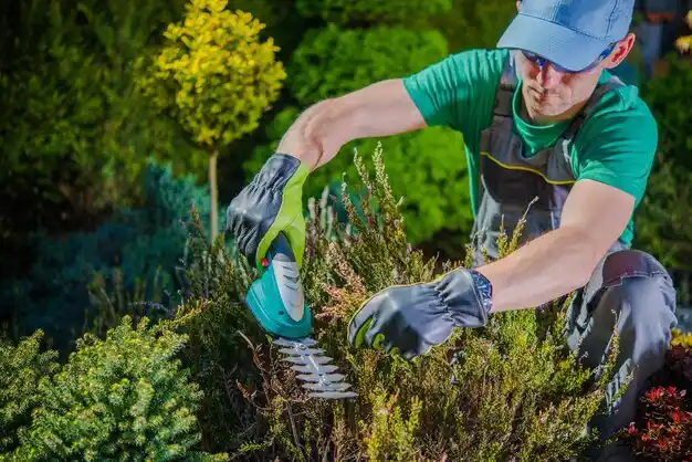 landscaping services Grayling